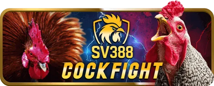 Hình ảnh minh họa các nguyên tắc tuân thủ GDPR của b52win bet